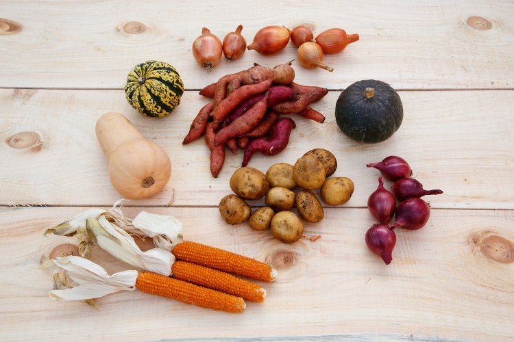 winter share no fridge dad