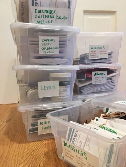 2017-seeds-organized