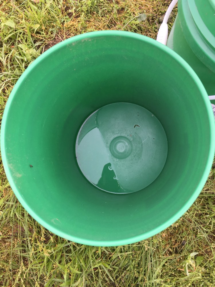 rain bucket empty