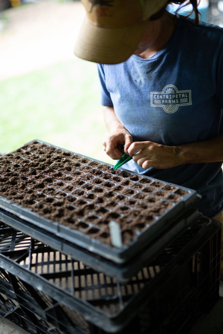 UpswingShares-9-6-18-7711