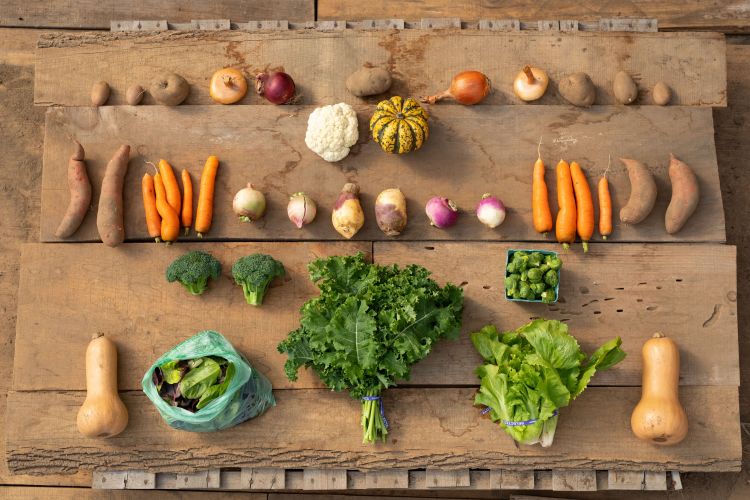 Upswing-11-1-18-9817