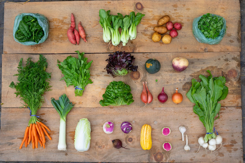 Upswing Farm photo 9