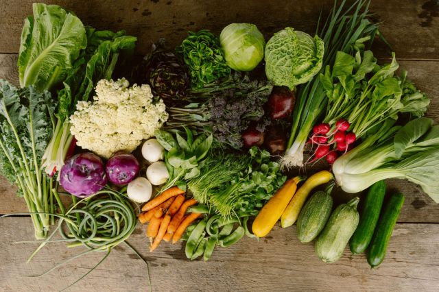 Upswing Farm photo 4